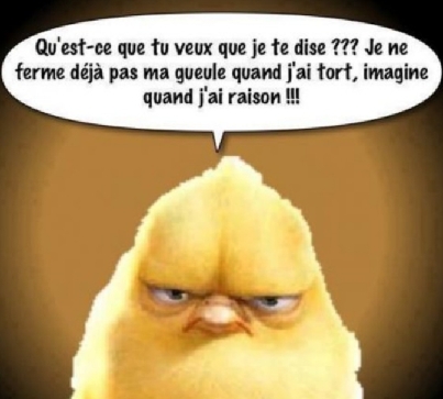 Avatar de l’utilisateur