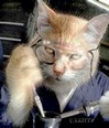 Avatar de l’utilisateur